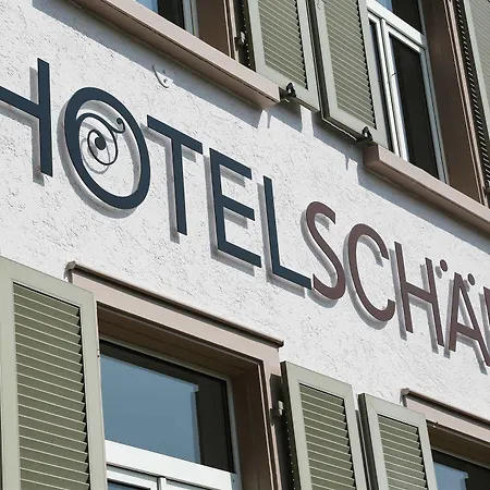 Hotel Schaefli 2*