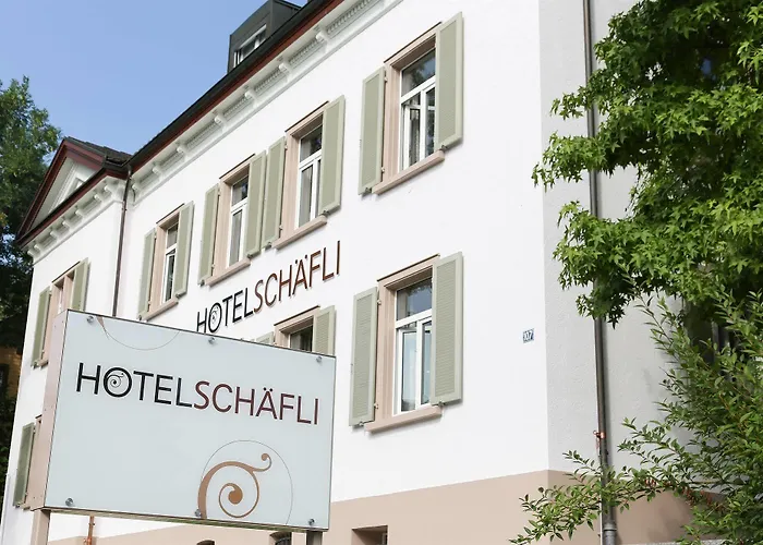 Hotel Schaefli