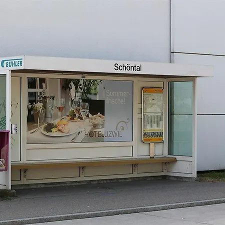 Schaefli Hotel 2*