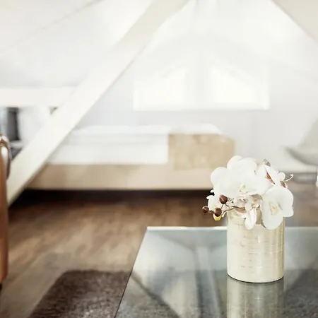 沙弗利酒店 Uzwil