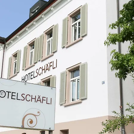 Otel Schaefli
