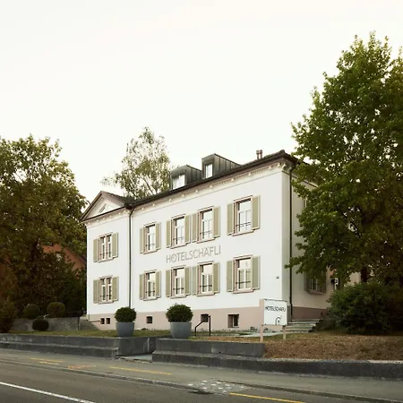Otel Schaefli 2*