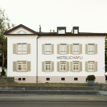 Otel Schaefli