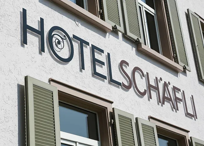 Hotel Schaefli 2*